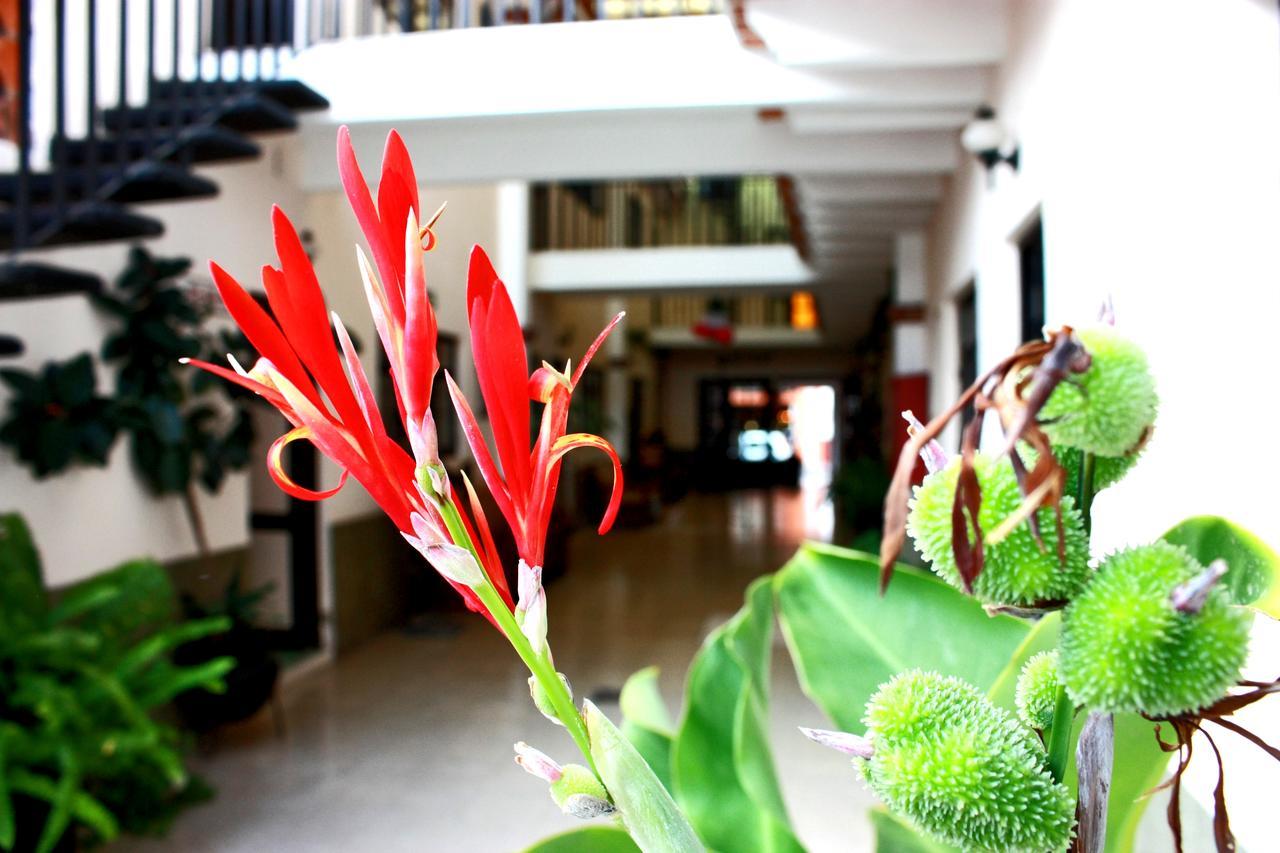 Casa Blanca Tequisquiapan Hotell Exteriör bild